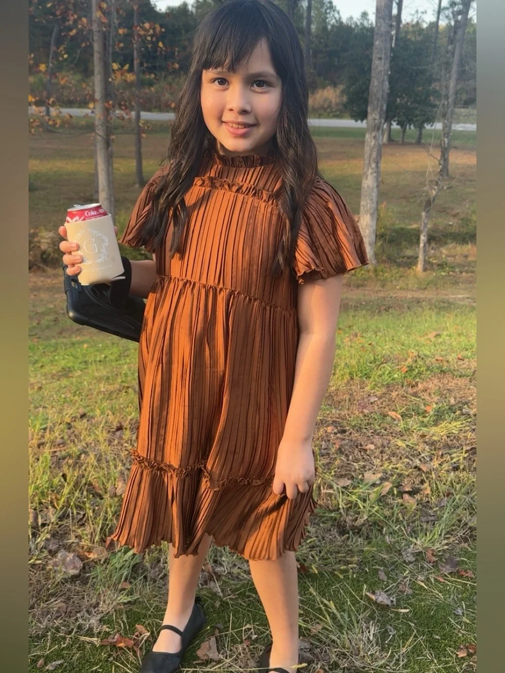 Janie and jack girls brown dress size 12